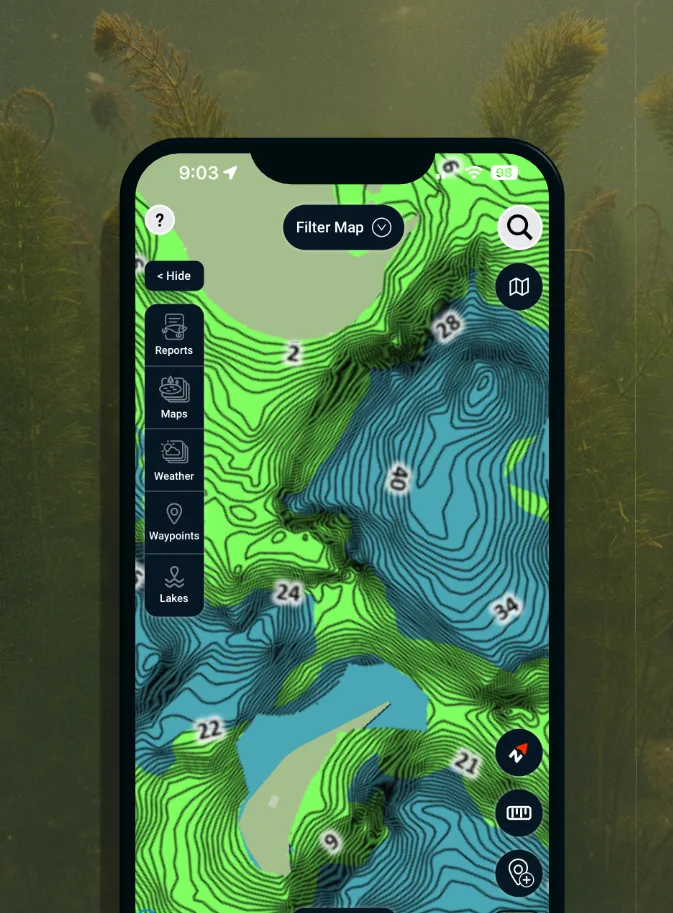 C-MAP Social Vegetation